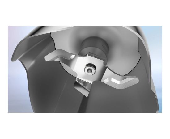 Bosch Serie 6 MSM6M621 blender 0.5 L Immersion blender 1000 W Black, Stainless steel Rokas blenderi - smalcinātāji