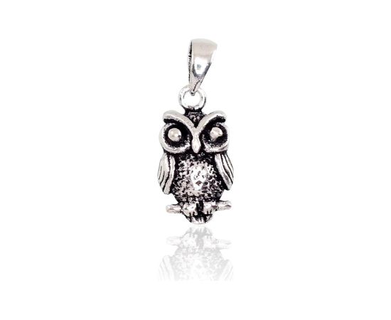 Sudraba kulons #2300989(POx-Bk), Sudrabs 925°, oksids (pārklājums), 1.3 gr. Sieviešu