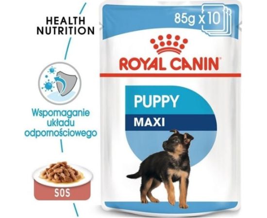 Royal Canin Royal Canin Maxi Puppy karma mokra dla szczeniąt, od 2 do 15 miesiąca życia, ras dużych saszetka 140g Suņu barība