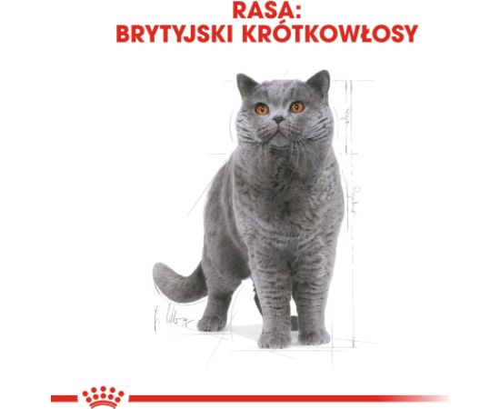 ROYAL CANIN British Shorthair - dry cat food - 2 kg Сухой корм для кошек