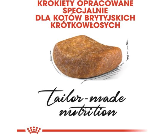 ROYAL CANIN British Shorthair - dry cat food - 2 kg Сухой корм для кошек