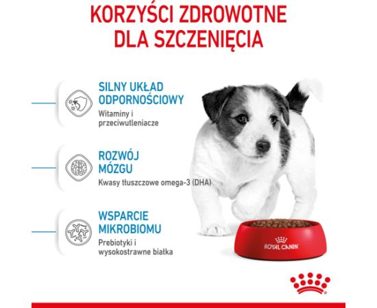 ROYAL CANIN Mini Puppy SHN - dry dog food - 2 kg Suņu barība
