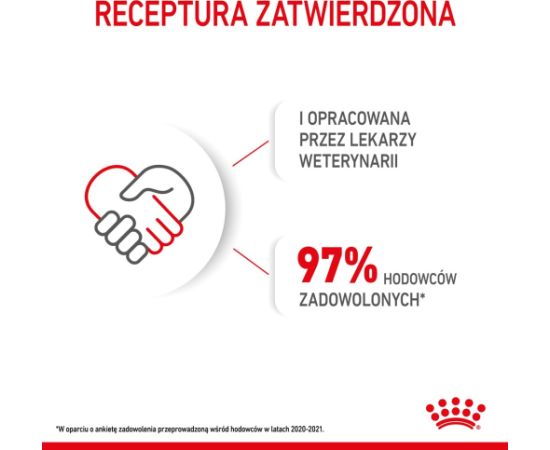 ROYAL CANIN Mini Puppy SHN - dry dog food - 2 kg Suņu barība