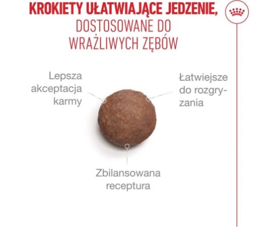 ROYAL CANIN Ageing 11+ - dry cat food - 2kg Kaķu sausā barība