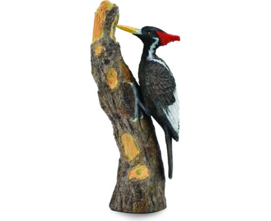 Figurka Collecta Dzięcioł Wielkodzioby w rozmiarze L (004-88802) Figūriņas un varoņi