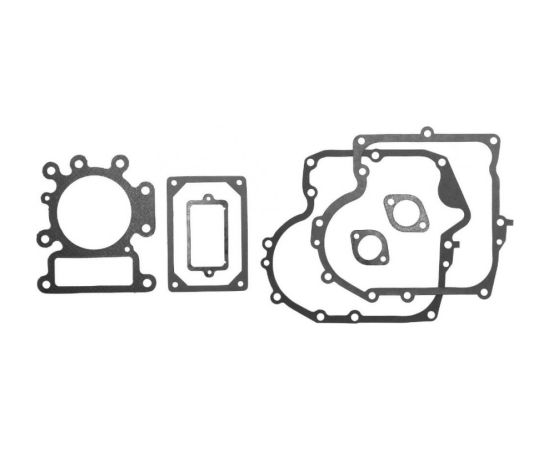 Gasket set Briggs & Stratton 13,5-15HP Intek OHV AVS, Nevada Piederumi dārza tehnikai