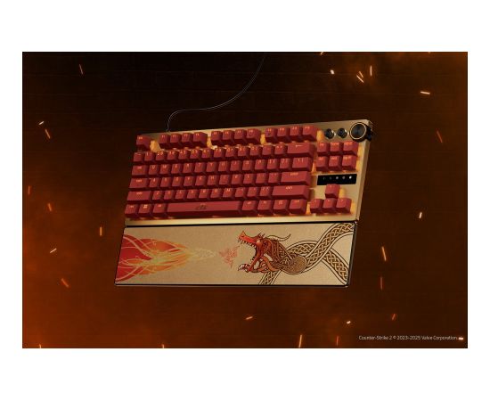 Razer Huntsman V3 Pro Tenkeyless Gaming Keyboard Wired US Counter-Strike 2 Edition USB Type-C Razer Analog Optical Switch Gen-2 Klaviatūras