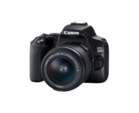 Canon EOS 250D + 18-55mm Kit Megapixel 24.1 MP Image stabilizer ISO sensitivity (max) 256000 Wi-Fi Video recording Manual CMOS Black Digitālās fotokameras