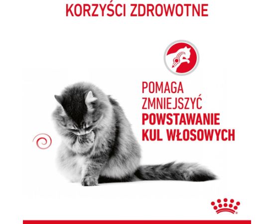 ROYAL CANIN FCN Hairball Care chunks in gravy - wet cat food - 12x85 g Kaķu konservi
