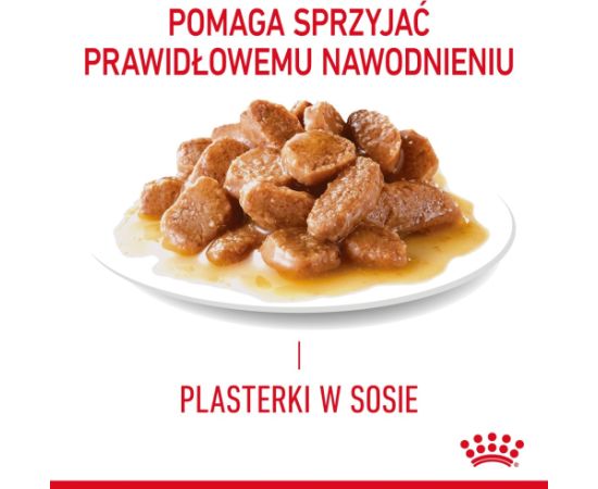 ROYAL CANIN FCN Hairball Care chunks in gravy - wet cat food - 12x85 g Kaķu konservi