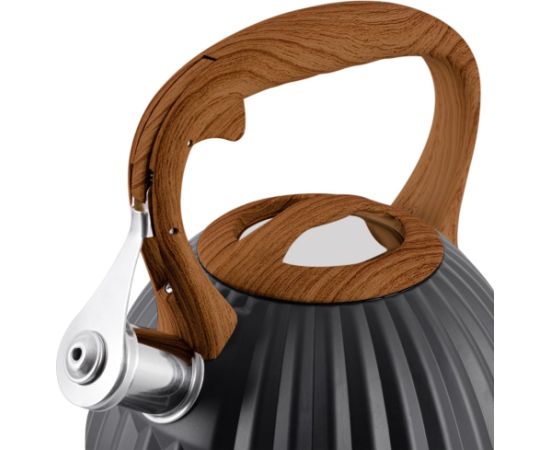 PROMIS Kettle 3.0 l, FABIO, black, wooden handle Tējkannas (ar svilpi)