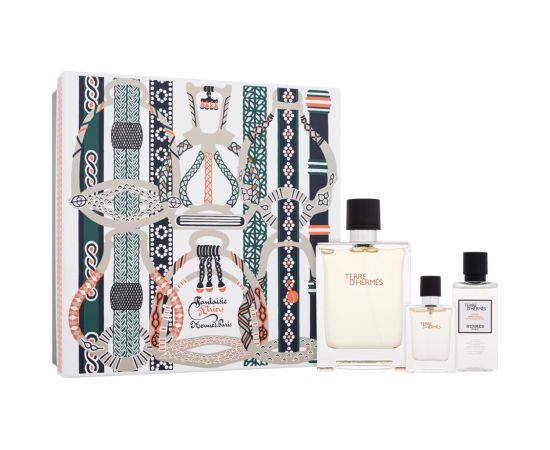 Terre d'Hermes 100ml Vīriešu Smaržas