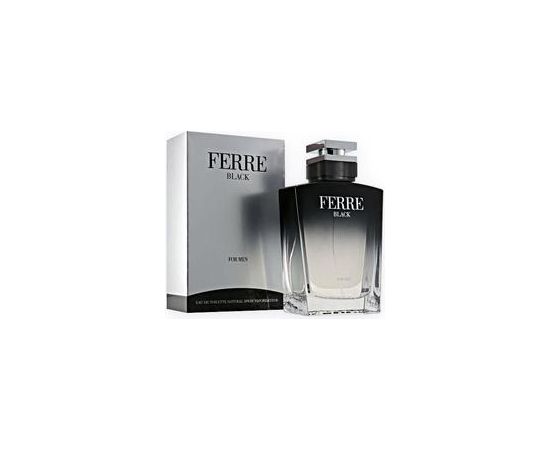 Gianfranco Ferre Ferre Black EDT 100ml Мужская парфюмерия