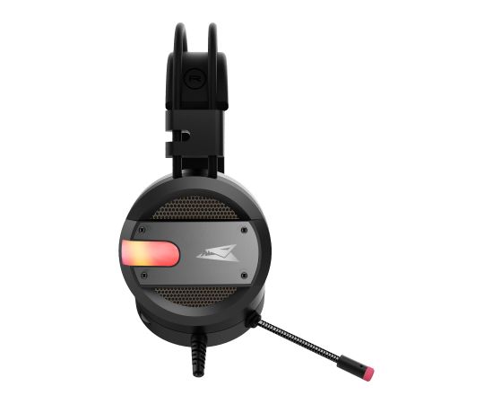 Baracuda BGH-031 Conch Black Austiņas