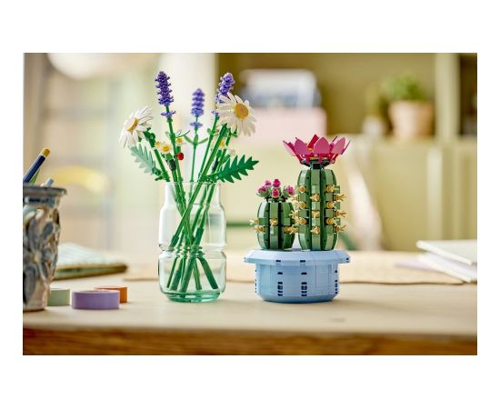 LEGO Botanicals Kwitnący kaktus (11509) Jaunumi, Bērnu preces