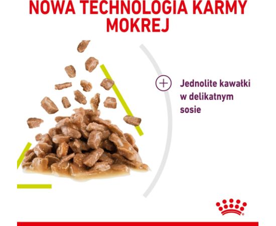 Karma Royal Canin Sensory Smell gravy 12x85g Kaķu konservi