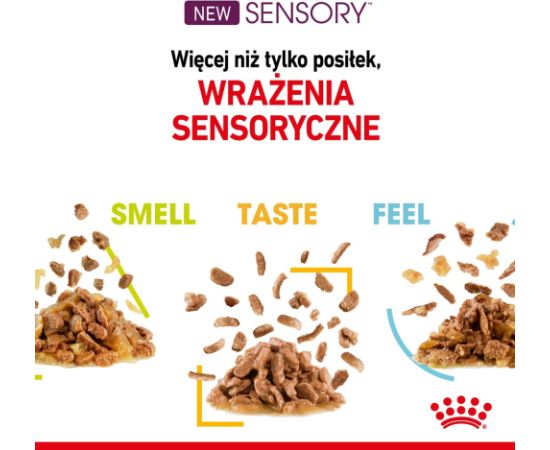 Karma Royal Canin Sensory Feel gravy 12x85g Kaķu konservi