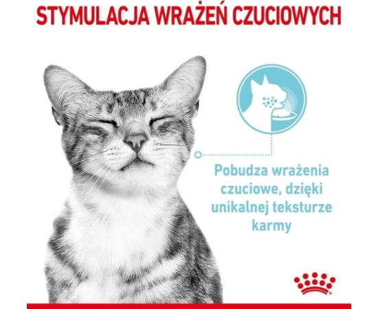Karma Royal Canin Sensory Feel gravy 12x85g Kaķu konservi