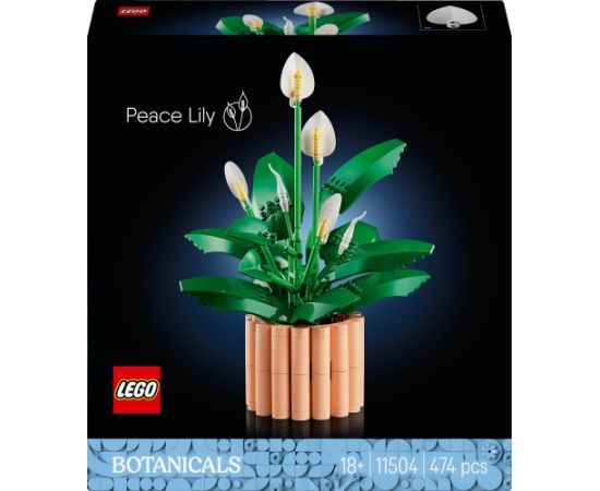 LEGO Botanicals Skrzydłokwiat (11504) Jaunumi, Bērnu preces
