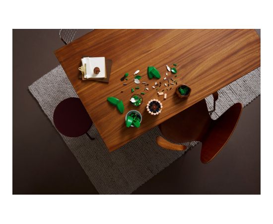 LEGO Botanicals Skrzydłokwiat (11504) Jaunumi, Bērnu preces