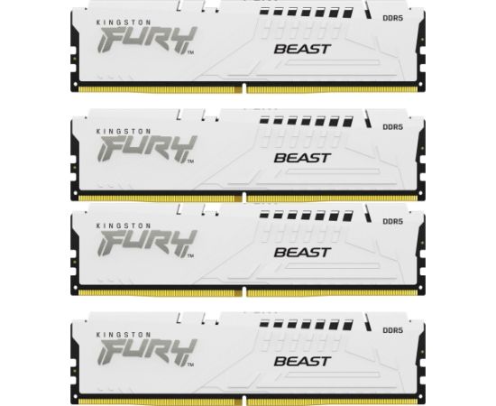 Kingston Fury Beast, DDR5, 128 GB, 5600MHz, CL40 (KF556C40BWK4-128) Jaunumi - Datori