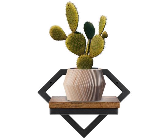 Springos Plaukts 19x25.5x18.5 cm HF0050 Plaukti  