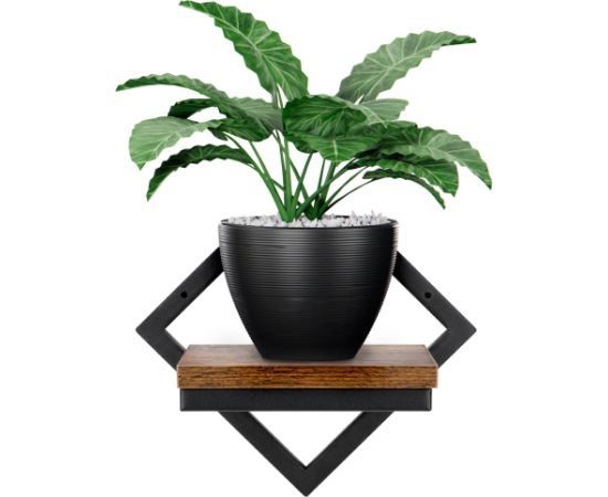 Springos Plaukts 19x25.5x18.5 cm HF0050 Plaukti  