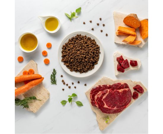 RAW PALEO Ultra Mini Adult Beef - dry dog ​​food - 2 kg Suņu barība