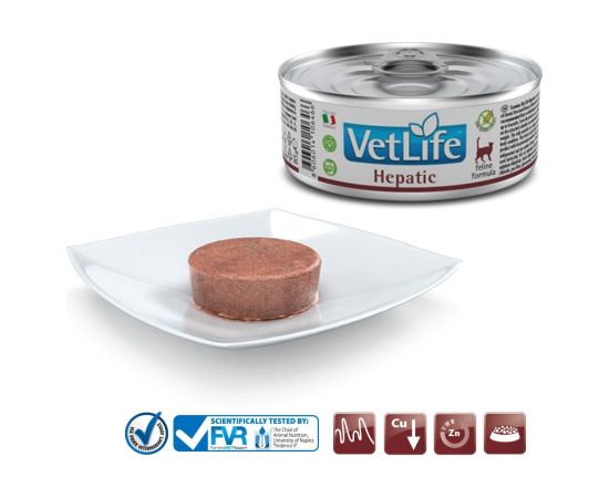 FARMINA Vet Life Natural Diet Cat Hepatic - wet food for cats - 85 g Barība