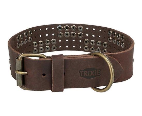Trixie Rustic Rivet, obroża, dla psa, z grubej skóry, ciemnobrązowa, M: 38–47 cm/40 mm Citas preces