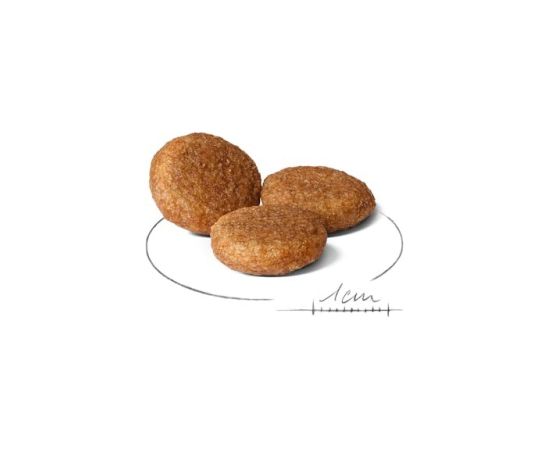 ROYAL CANIN SHN Medium Adult BF 15kg Suņu barība