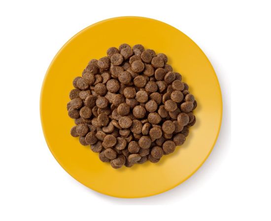 Applaws Cat Dry Senior Chicken 2kg Сухой корм для кошек