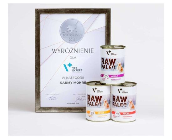 RAW PALEO Adult Monoprotein Beef - wet dog food - 800 g Suņu barība