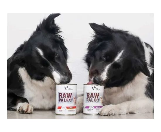 RAW PALEO Adult Monoprotein Beef - wet dog food - 800 g Suņu barība