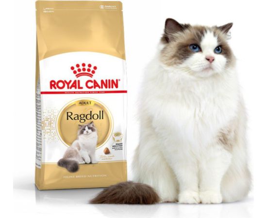 Royal Canin Ragdol Adult karma sucha dla kotów dorosłych rasy ragdoll 0.4 kg Kaķu sausā barība