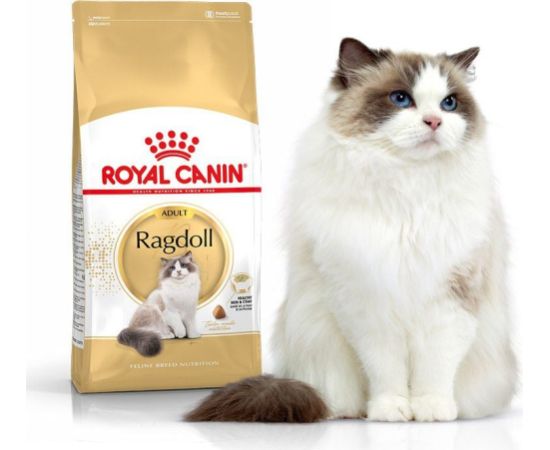 Royal Canin Ragdol Adult karma sucha dla kotów dorosłych rasy ragdoll 0.4 kg Kaķu sausā barība