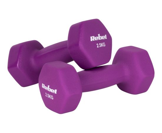 Hantelki żeliwne neoprenowe HEX 2x2.5kg, REBEL ACTIVE Велосипеды