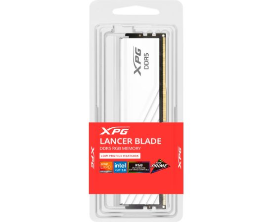 ADATA DDR5 - 16GB - 6000 - CL - 30, Single RAM (white, AX5U6000C3016G-SLABRWH, XPG Lancer Blade RGB, INTEL XMP, AMD EXPO) Оперативная память (RAM)
