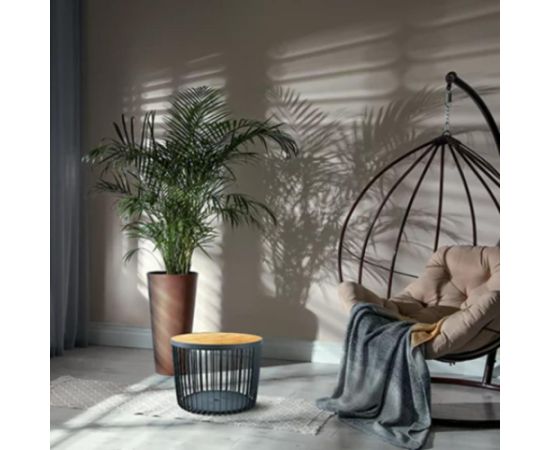 Prosperplast STOLIK KOSZ 38,6x35,8CM CLUBO ANTRACYT Шезлонги и пляжные стулья