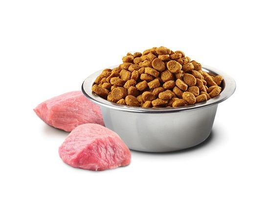 FARMINA N&D Spirulina Lamb Puppy Mini - dry dog food - 2 kg Suņu barība