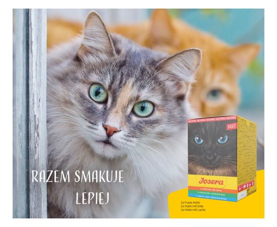 JOSERA Multipack - chicken, duck, salmon - 6x70 g Консервы кошек