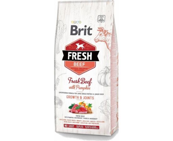 BRIT Fresh Puppy&Junior Large Growth&Joints Beef with Pumpkin - dry dog food - 12 kg Suņu barība