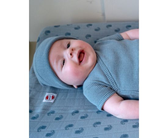 Lodger Beanie Ciumbelle bērnu cepurīte, Dragonfly, 0-6 mēn. - BE 094_0-6  Cepurītes