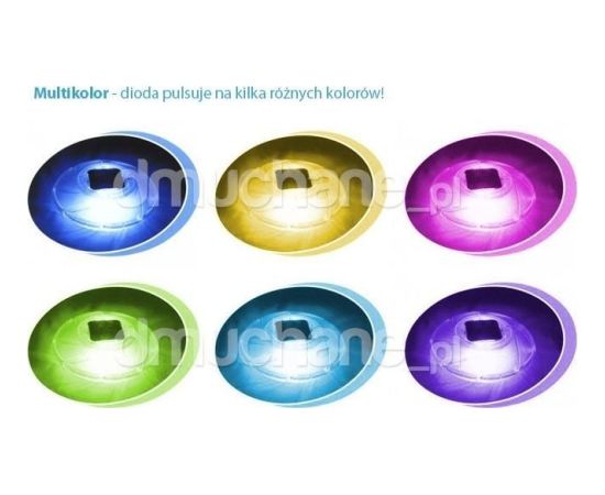 Intex Lampka solarna do basenu śr.18 cm Bestway 58111 Велосипеды