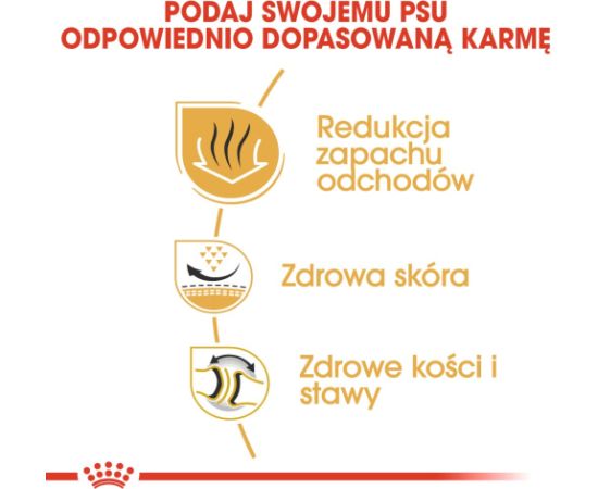 ROYAL CANIN Bulldog Adult - dry dog food - 12 kg Suņu barība