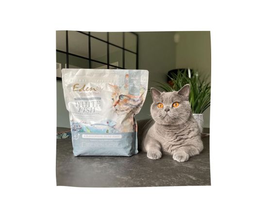 EDEN White Fish with Herring Caviar - dry cat food - 1.5 kg Kaķu sausā barība