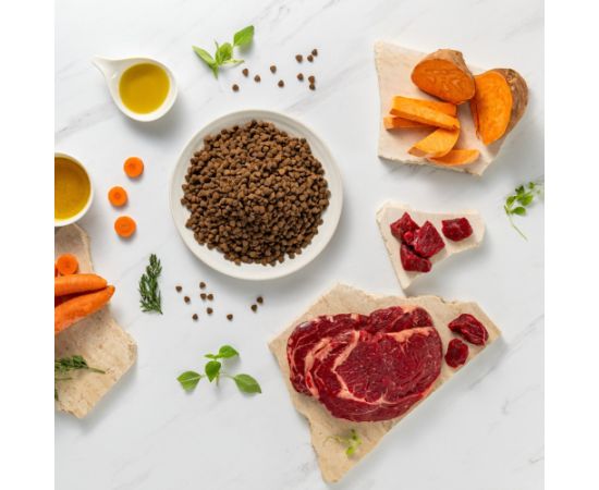 RAW PALEO Ultra Mini Puppy Beef - dry food for puppies of small breeds - 8 kg Suņu barība