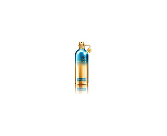 Montale Paris Herbal Aquatica EDP 100ml Духи унисекс
