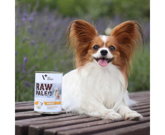 RAW PALEO Adult Monoprotein Turkey - wet dog food - 800 g Suņu barība