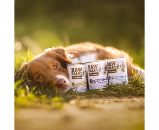 RAW PALEO Adult Monoprotein Turkey - wet dog food - 800 g Suņu barība